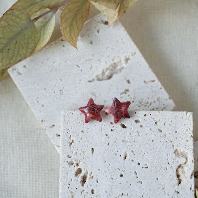 Equinox Star Studs