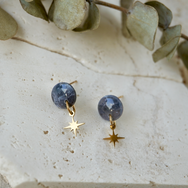 Black Tourmaline Mini Charm Stud